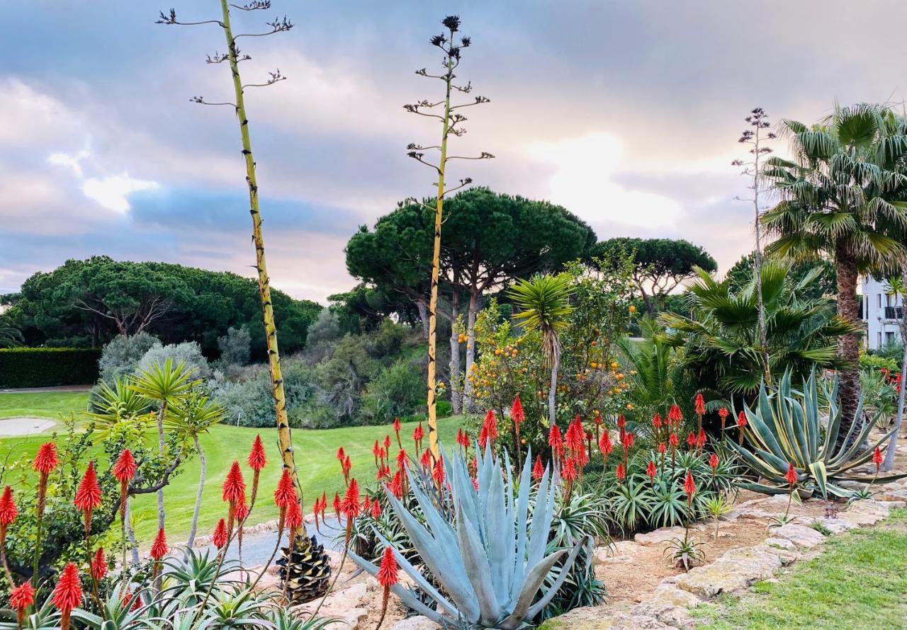Algarve Luxury Experience - Situated Within The Pinecliffs Resort Albufeira Ngoại thất bức ảnh